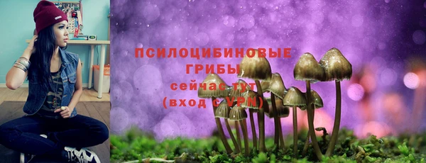 метадон Белоозёрский