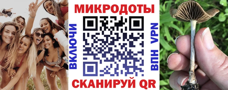 Галлюциногенные грибы ЛСД Салават